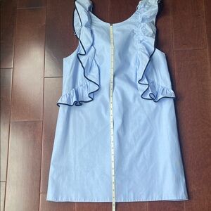 Zara Blue Ruffled Sheath Dress